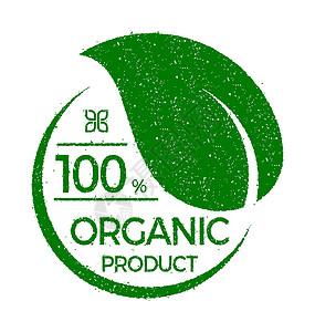 产品说明有机 健康 自然和生态产品标签图例说明生物麸质回收贴纸食物蔬菜农场市场插图叶子插画