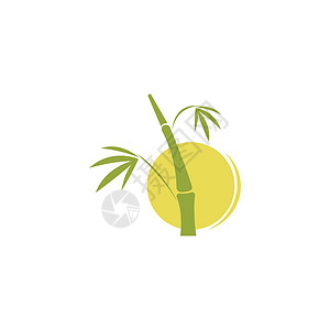 亚洲标志竹竹树标志图标设计插图矢量发芽叶子太阳植物森林热带标识日落白色树叶插画