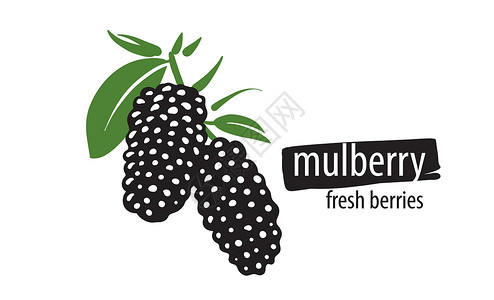 水果商标白色背景上的 Lawn 矢量 Muulberry插画