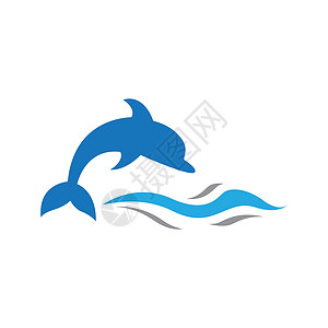 上海标志海豚标志模板矢量图标水族馆艺术海洋野生动物乐趣插图微笑游泳生活荒野插画