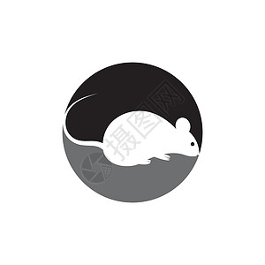 啮齿动物鼠标图标 Vecto晶须棕色荒野哺乳动物野生动物害虫卡通片绘画宠物草图插画