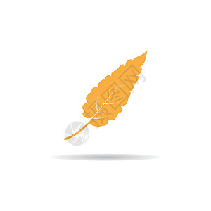 秋季徽标矢量黄色插图植物学叶子红色橙子白色季节艺术商业背景图片