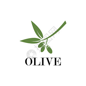 橄榄标志模板叶子处女包装插图食物绿色广告标识标签生态背景图片