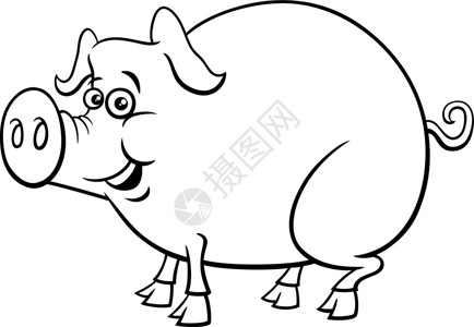 彩猪卡通滑稽猪养猪场动物性格彩色书页插画