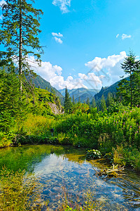 阳光灿烂的夏日景色闪耀的山岳风景高清图片