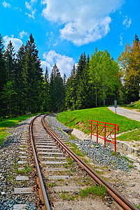 博科铁路一条穿过绿林的光滑铁路轨迹背景