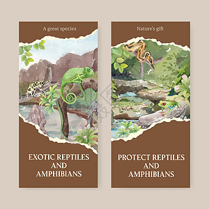 具有爬行动物和两栖动物概念 水色风格的飞板模板尾巴青蛙野生动物异国营销动物学情调动物群动物园卡通片背景图片
