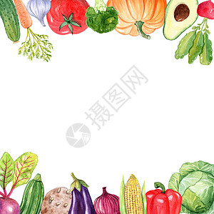 水彩手绘蔬菜白边隔绝的水彩蔬菜方界背景
