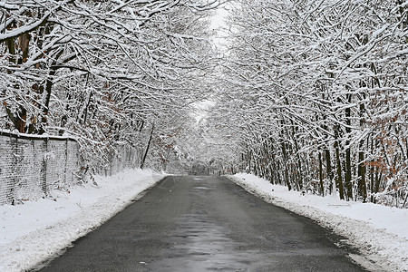在冬季用雪和冰块修补劣质沥青路 在恶劣的冬季天气中运输和旅行的概念 12月31日背景