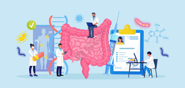 微生物区系腹泻器官高清图片