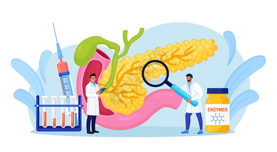 酵素胰腺炎的概念 胃肠病学家诊断胰腺炎症 医生检查病人 消化系统疾病治疗 内脏癌胰腺功能考试葡萄糖食管药店生物学药品胰岛素胆囊插画