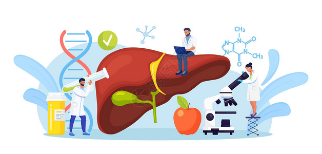 小医生治疗肝病 甲 乙 丙 丁型肝炎 肝硬化的医学诊断 一组医生检查病人的内脏 进行实验室测试 活检 分子分析感染临床外科生物学背景图片