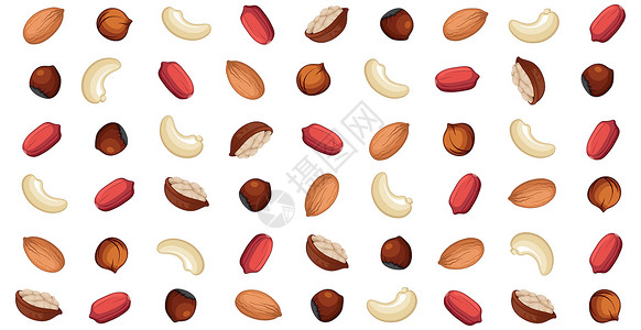 干货腰果Panoramiic 胡桃形态 不同种类的坚果-矢量设计图片