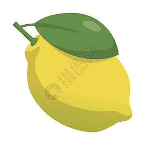 柠檬标识以白色背景隔离的现实新鲜成熟的柠檬     矢量收藏标识香橼叶子果汁标签食物橙子插图水果插画