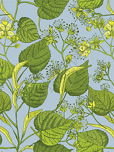 菩提花手绘无缝图案 蓝色背景上有黄色和绿色的花朵 生命和树枝 复古复古图形设计植物素描背景图片