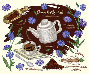 菊苣根标签 卡片 贴纸 上面有菊苣花 粉末 茶壶 茶杯和勺子的写实植物彩色素描 在棕色背景上隔离 花卉草药收藏 药厂插画
