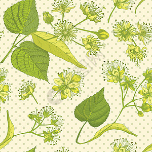 菩提花手绘无缝图案 在浅米色背景上以黄色和绿色的花朵 生命和树枝 复古复古图形设计植物素描背景图片