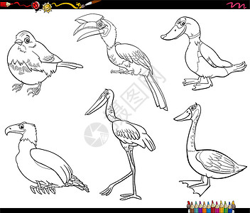 白头鹎鸟类卡通动物人物设置着色书 pag野生动物卡通片军科收藏填色动物园白头鹰快乐荒野爪子插画