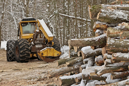明确原木或伐木日志 带新收获和堆放木材原木的滑雪机木工人木头资源林业侵蚀机械森林燃料生态建筑背景