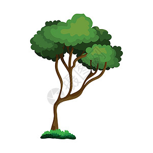 在白色背景上被孤立的现实绿色绿叶灌木矢量叶子橡木生活树干衬套森林收藏植物艺术插图背景图片