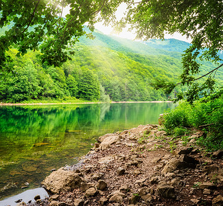 国家公园-黑山温带森林高清图片素材