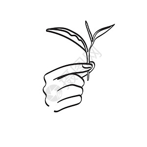 卡帕多西亚手握茶叶插图 用白色背景所隔离的矢量手画在白色背景上插画