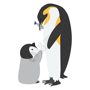 小婴儿小婴儿母幼企鹅喂养婴儿卡通插画