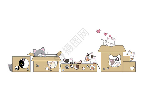白色背景矢量插图的猫和框设计卡通片收藏纸板动物卡片盒子情人横幅宠物棕色背景图片