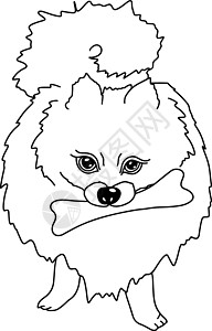 被骨头吸引的狗愤怒的食肉动物吐司 咬骨头的狗 黑白草图 矢量插图设计图片