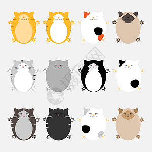 哺乳姿势不同颜色的可爱猫 矢量卡通插图 有趣的玩乐 纺织品印刷 包装 T恤衫设计图片