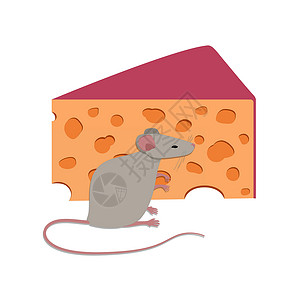 米奇老鼠孤立于奶酪矢量设计旁边的可爱老鼠插画