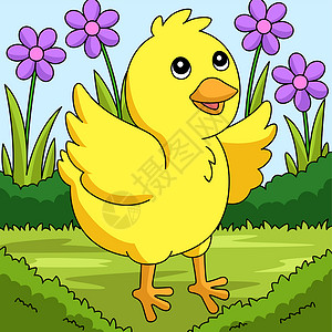 手绘鸡Chicke 卡通彩色动物说明设计图片