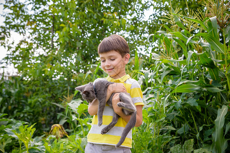 哈咪猫爱意有趣的男孩抱着一只猫充满爱意 手上拿着一只小猫的孩子的画像 在乡村乡村与猫玩耍毛皮喜悦朋友头发动物拥抱哺乳动物幸福乐趣虎斑背景