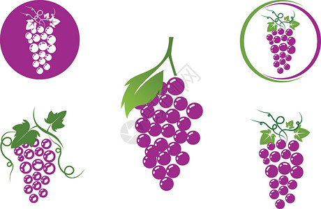 赤贝葡萄矢量图标插图设计浆果桌子叶子水果农场红色植物食物紫色藤蔓插画