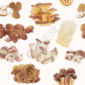 林芝松茸一套食用蘑菇 无缝墙纸 背景 老式水彩色 矢量插图稻草森林水彩牡蛎耳朵收成草图烹饪市场手绘插画