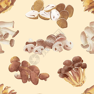 林芝松茸一套食用蘑菇 无缝墙纸 背景 老式水彩色 矢量插图耳朵水彩草图森林美食收成烹饪稻草食物收藏插画
