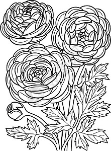 卢本伟成人的罗恩库卢斯花朵彩色页面插画