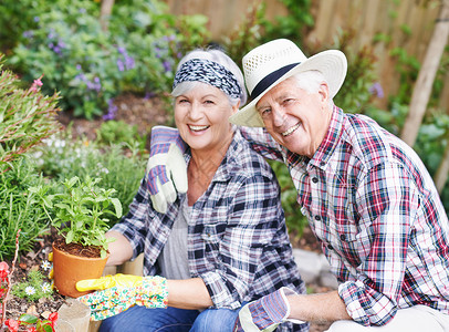 忙疯了分享对园艺的热爱 一个快乐的老年夫妇在后院忙着园艺背景