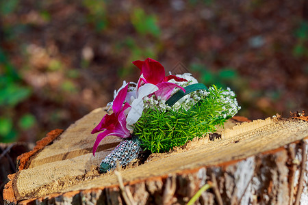 粉粉红花 白羽香花和浅蓝色鲜花的婚礼花束胸花蓝色新娘花朵粉色手镯绣球花牡丹丝带背景图片