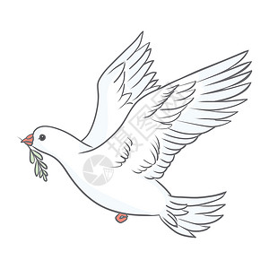 和平鸽纯度设计 与白色背景上的绿色橄榄枝的鸽子 标志 爱的象征和信使 平面向量美丽的图形隔离元素 飞行的卡通鸟画世界自由精神航班背景图片