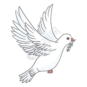 和平鸽纯度设计 与白色背景上的绿色橄榄枝的鸽子 标志 爱的象征和信使 平面向量美丽的图形隔离元素 飞行的卡通鸟画天堂绘画宗教动物背景图片