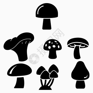 蜂蜜金桔膏不同的蘑菇组 黑色光影 矢量插图插画