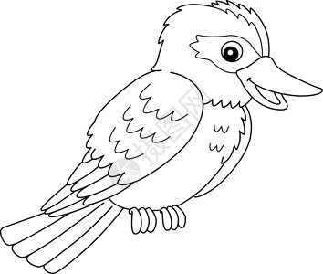 Kokaburra 动物色彩页面背景图片
