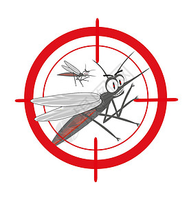 蚊子和蚊子目标图片素材