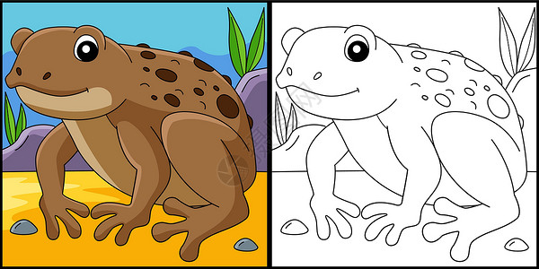 青蛙动物着色页面说明高清图片