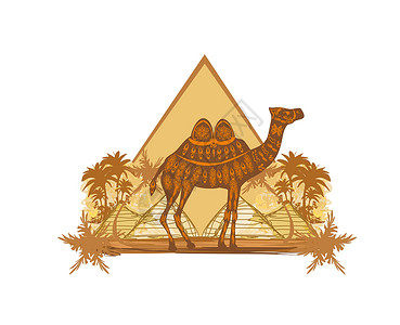 Egypt沙漠中的骆驼 - 横幅高清图片