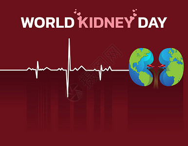 肾脏日世界肾日图表保健科学动脉静脉涂鸦海浪阴影教育诊断插画