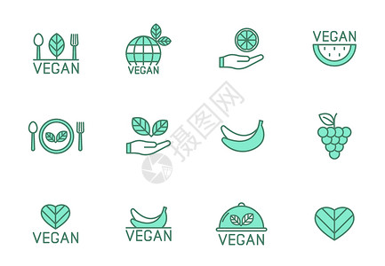 珠江纯生两种颜色的纯素食线性矢量图标在白色上被隔离 为网页设计 ui 移动应用程序和打印设置的素食食品绿色图标插画
