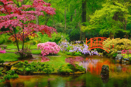 日式庭园自然旅游胜地高清图片