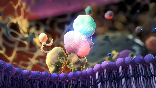 小兔双层气球入室牢房的Ion 频道医疗微生物学插图细胞药品荷尔蒙渠道宏观运输科学背景